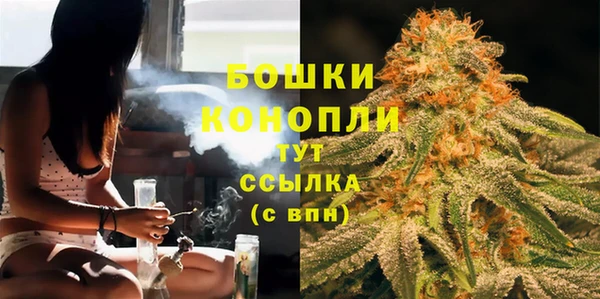 сатива Арсеньев