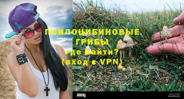 молекула духа Армянск